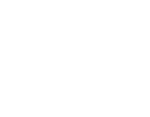 Venice logo